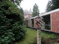 24.  Kloostergang